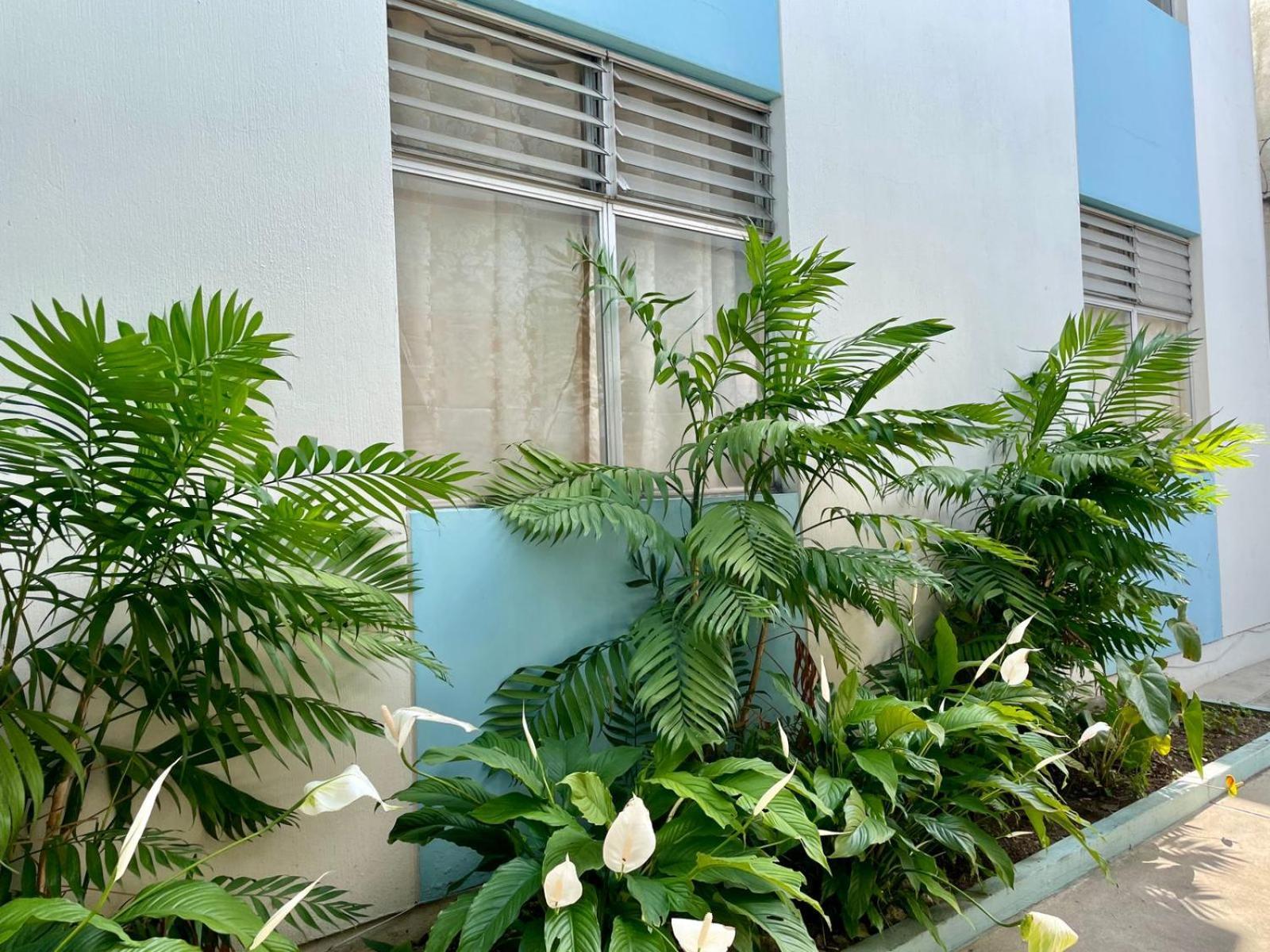 Casa Quetzal Bed & Breakfast Guatemala City Exterior photo